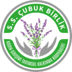 Çubuk Birlik Kadın Girişimci Tarımsal Kalkınma Kooperatifleri