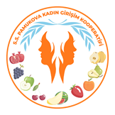 Pamukova Kadın Girişimi Üretim Ve İşletme Koooperatifi